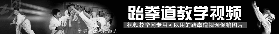 跆拳道教学视频促销banner图片 演示效果