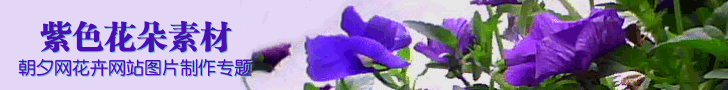 紫色花朵网站图片制作模板 演示效果