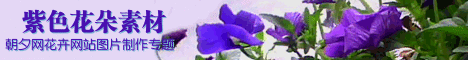 在线生成紫色花朵网站图片 演示效果