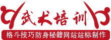 红色简化人物对踢武术网站logo制作 演示效果