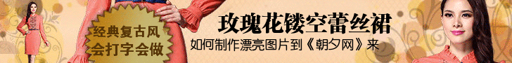 玫瑰花镂空蕾丝裙banner免费生成 演示效果
