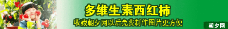 多维生素水果西红柿banner设计 演示效果