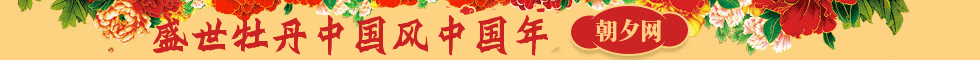 中国年盛世牡丹花banner制作素材 演示效果