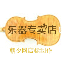 音乐爱好者乐器网店小提琴店标免费制作 演示效果