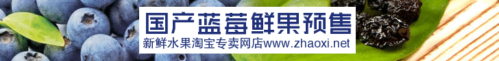 青岛新鲜蓝莓鲜果banner在线制作 演示效果