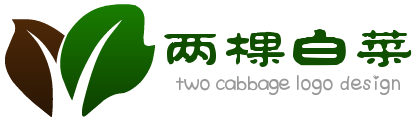 大白菜企业vi网站logo设计模板 演示效果