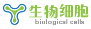 三个枝丫细胞生物学logo免费制作 演示效果