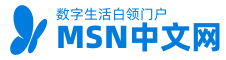 蓝色蝴蝶微软MSN站点logo在线制作 演示效果