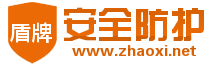 橙色盾牌安全知识网logo在线制作 演示效果